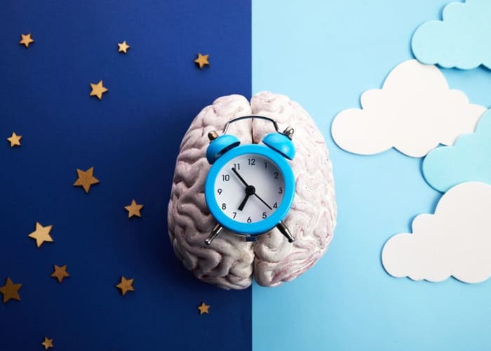 brain-with-alarm-clock-to-signify- circadian-rhythm